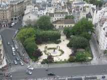 Старейшее дерево Парижа
