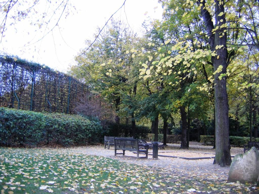 Парк в музе Родена